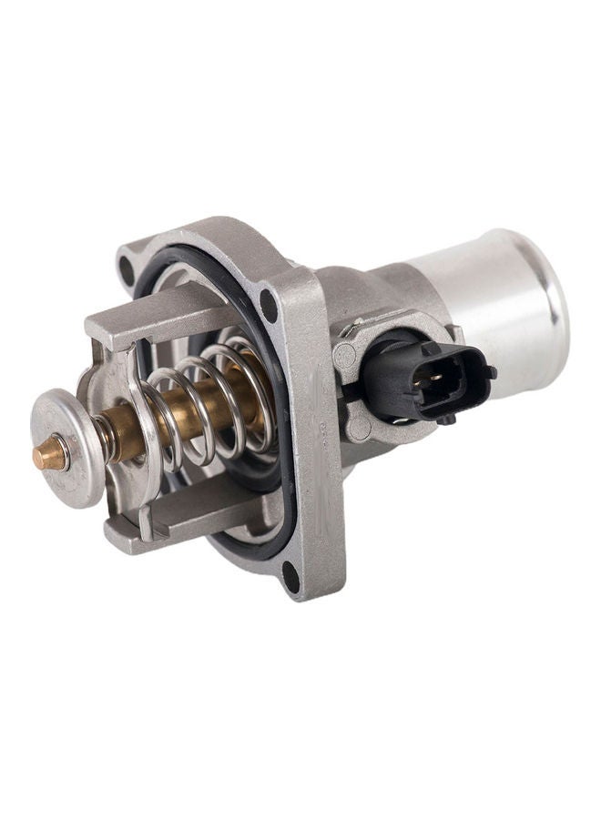 Loquat Engine Coolant Thermostat - Image 1