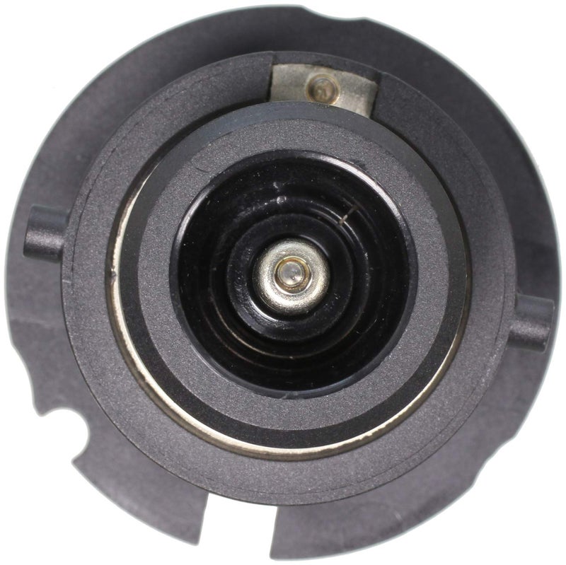 Wagner Lighting D2S Standard Multi-Purpose Light Bulb Box of 1 - Image 2