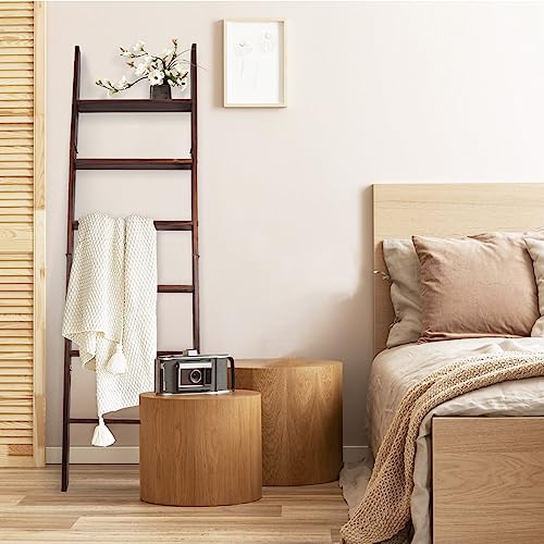 HYBDAMAI Blanket Ladder, 6-Tier Wooden Quilt Stand, Decorative Ladder Shelf, Leaning Shelf, Wall Leaning Blanket Ladder Towel Storage Rack for Living Room (Brown) - Image 3