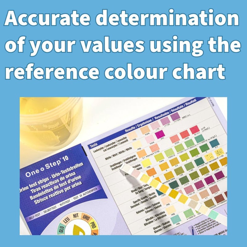 One Step 15 شريط اختبار عدوى البول اختبار UTI عصي نيتريت كريات الدم البيضاء والدم - Image 3