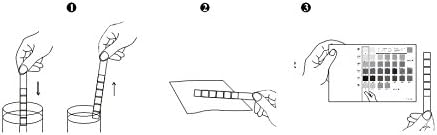 One Step 15 شريط اختبار عدوى البول اختبار UTI عصي نيتريت كريات الدم البيضاء والدم - Image 5