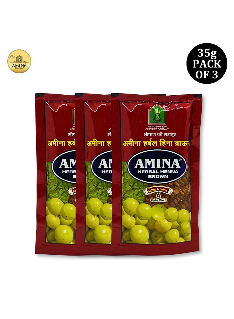 Amina Natural Brown Herbal Henna Powder For Hair Color, Natural Black Hair, Herbal Conditioning Hair Dye for Silky & Shiny Soft Hair Colour for Men & Women (35 Gms x Pack Of 3) - Image 2