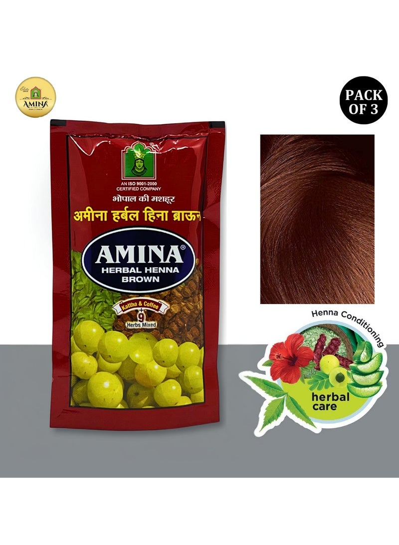 Amina Natural Brown Herbal Henna Powder For Hair Color, Natural Black Hair, Herbal Conditioning Hair Dye for Silky & Shiny Soft Hair Colour for Men & Women (35 Gms x Pack Of 3) - Image 1