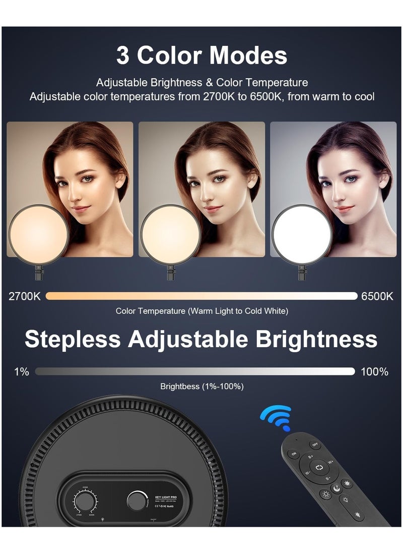 13" 33cm Ring Light Full-Screen with 79" 200cm Extendable Stand, 2700-6500k Dimmable LED Photography Light with Remote & Phone Holder for Live Streaming/YouTube/Tiktok/Zoom Meeting/Makeup