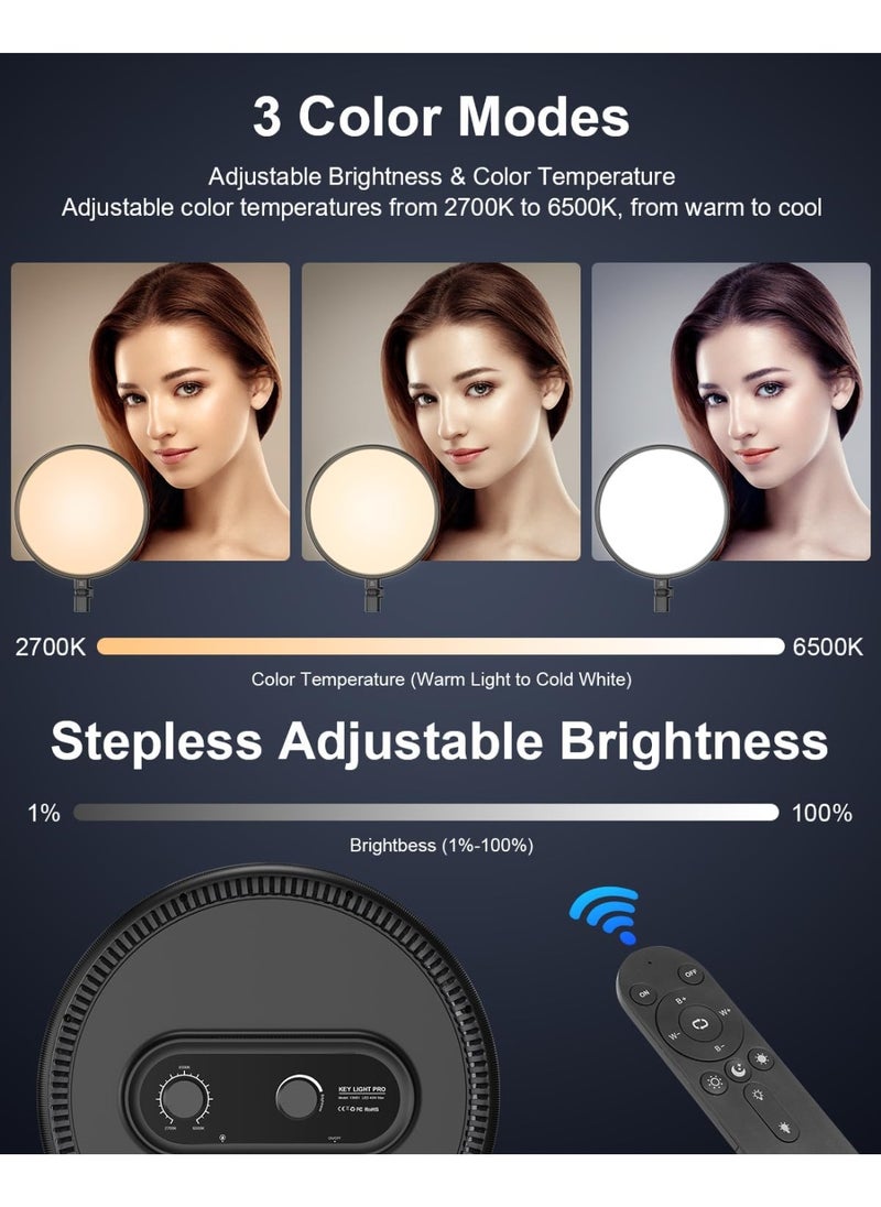13" Large Ring Light 79" Stand with Remote & Phone Holder Kit,6500k Dimmable Professional Full-Screen LED Photography Light Soft Light for Video Shooting/Meetings/Podcast/TikTok/Live Streaming  - Image 3