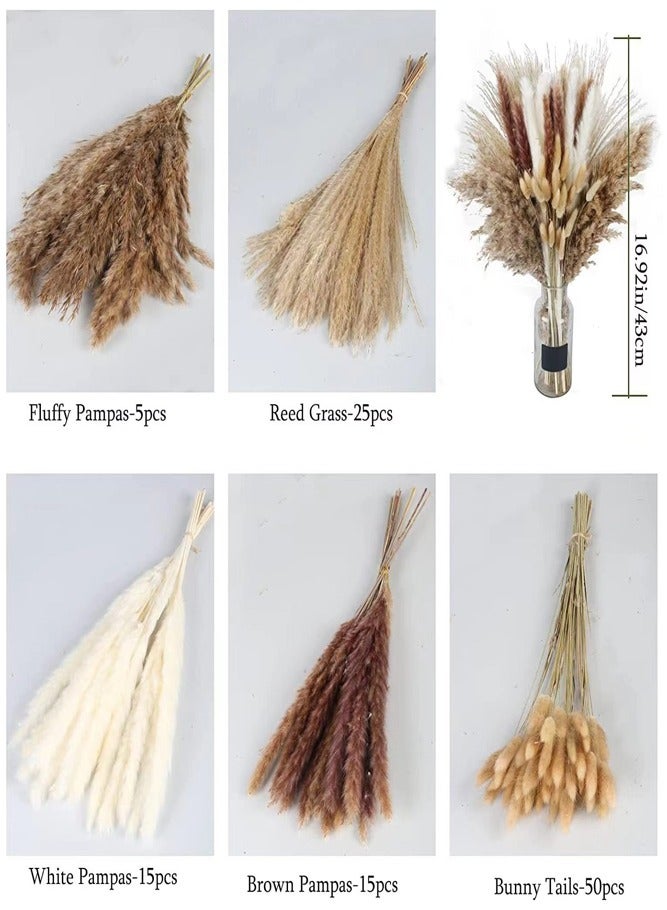 BELLSBERRY 110 قطعة من زينة عشب البامبا الطبيعي - 43 سم من الزهور المجففة بأسلوب بوهيمي للداخل أو الخارج - Image 2
