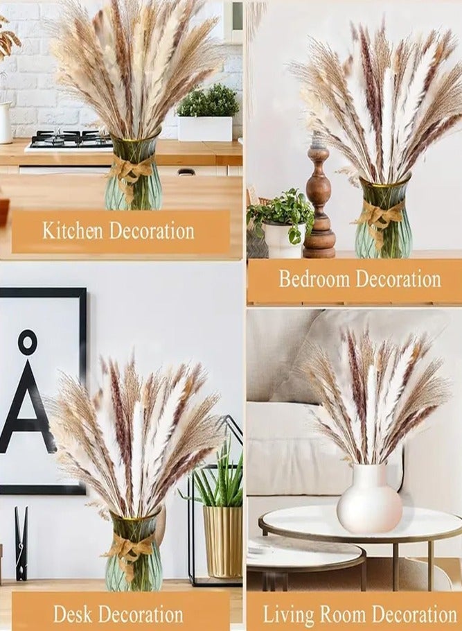BELLSBERRY 110 قطعة من زينة عشب البامبا الطبيعي - 43 سم من الزهور المجففة بأسلوب بوهيمي للداخل أو الخارج - Image 5