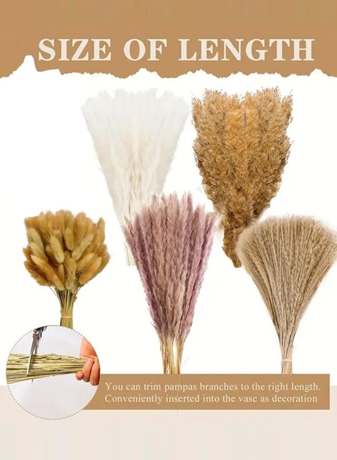 BELLSBERRY 110 قطعة من زينة عشب البامبا الطبيعي - 43 سم من الزهور المجففة بأسلوب بوهيمي للداخل أو الخارج - Image 3