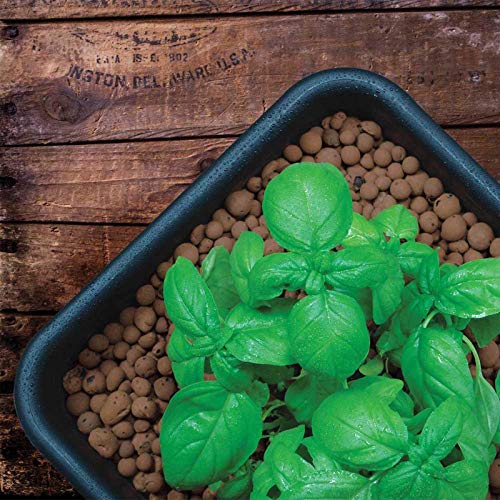 Hydrofarm GROW!T GMC10L - 4mm-16mm Clay Pebbles, Brown, (10 Liter Bag) - Made from 100% Natural Clay, Can be used for Drainage, Decoration, Aquaponics, Hydroponics and Other Gardening Essentials - Image 4