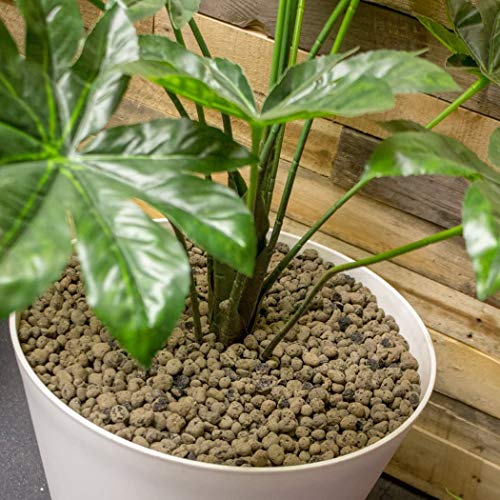 Hydrofarm GROW!T GMC10L - 4mm-16mm Clay Pebbles, Brown, (10 Liter Bag) - Made from 100% Natural Clay, Can be used for Drainage, Decoration, Aquaponics, Hydroponics and Other Gardening Essentials - Image 5