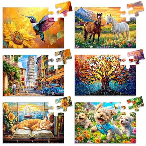 Biarek 6 Packs 16 Large Piece Puzzle for Seniors Alzheimers Dementia Activities Easy Puzzle 6 Storage Bags - Image 1