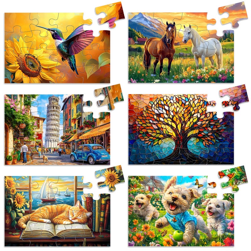 Biarek 6 Packs 16 Large Piece Puzzle for Seniors Alzheimers Dementia Activities Easy Puzzle 6 Storage Bags - Image 3