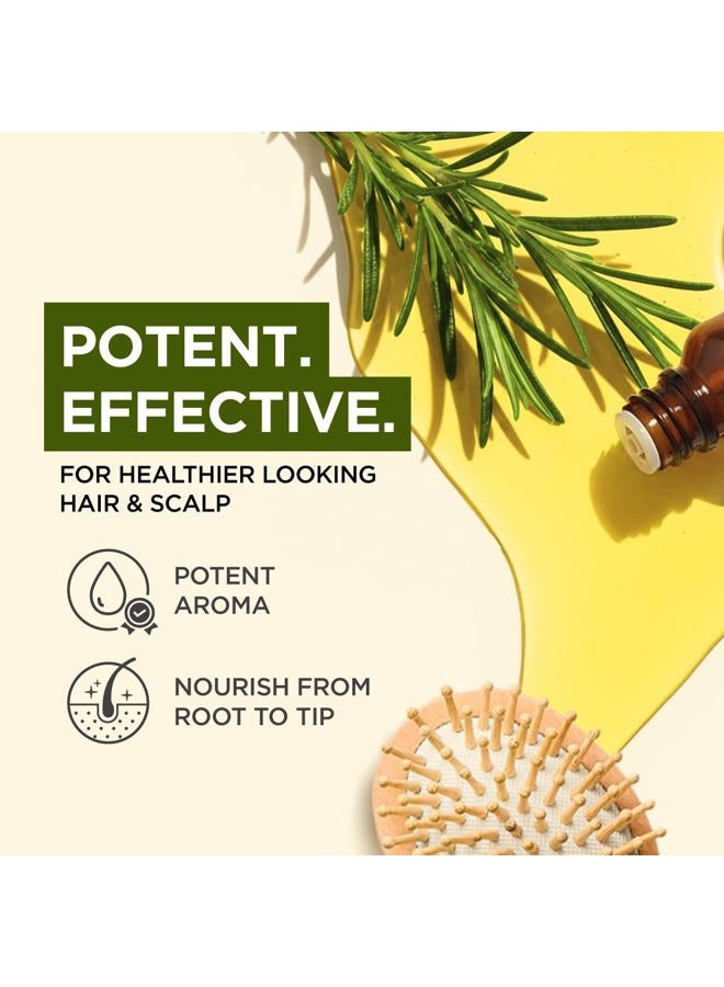 gya labs Pure Rosemary Oil for Hair Growth & Dry Scalp (10 ml) - 100% Therapeutic Grade Undiluted Rosemary Essential Oils for Hair Growth, Hair Loss, Skin & Diffuser - Image 3