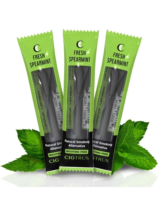 cigtrus Natural Non-Nicotine Inhaler (3-Piece) - Tobacco Free, Quit Smoking Substitute - Smoke Free Habit Support by Cigtrus (Fresh Spearmint) - Image 1