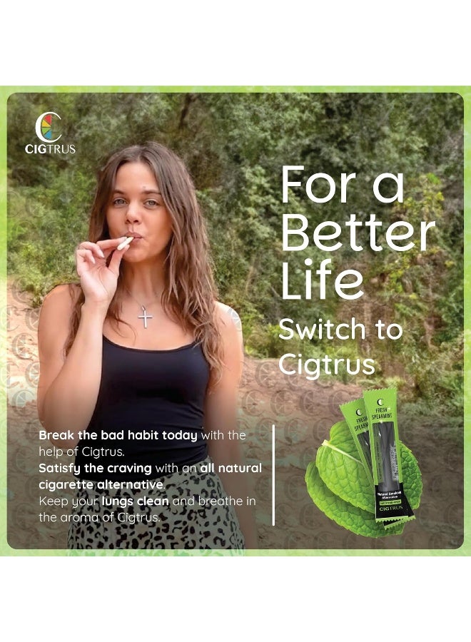 cigtrus Natural Non-Nicotine Inhaler (3-Piece) - Tobacco Free, Quit Smoking Substitute - Smoke Free Habit Support by Cigtrus (Fresh Spearmint) - Image 2