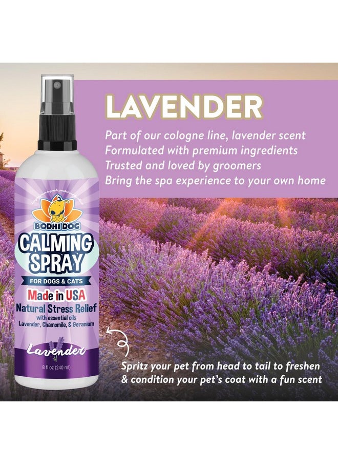 Bodhi Dog - Bodhi Dog Natural Dog Calming Spray | Premium Calming Care for Dogs & Cats | Long Lasting Anxiety Relief for Pets | Ideal for Grooming, Travel, and Fireworks | Made in USA (Calming Lavender, 8 Fl Oz) - Image 1