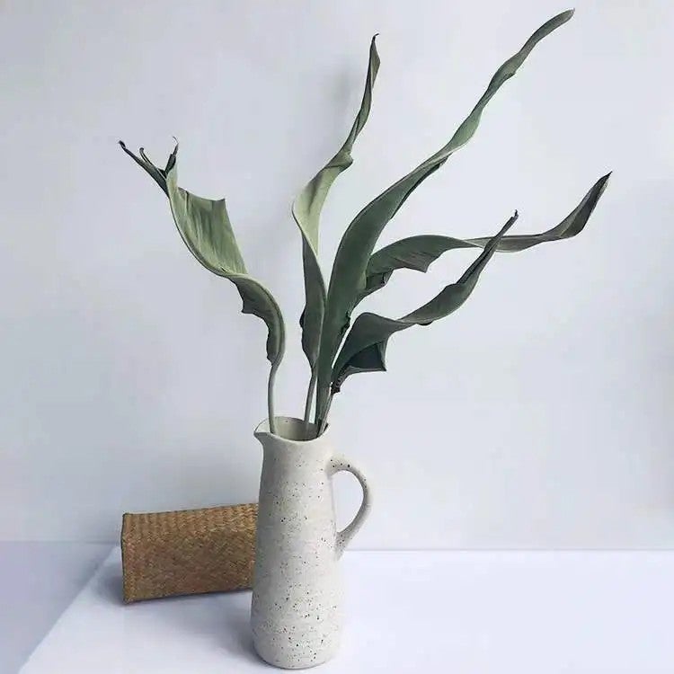 Bluejw 5pcs Dried Strelitzia Leaves - Natural Bird of Paradise Flower Dry Plants for Home Decor, DIY Floral Arrangements, Wedding, Mother's Day - Image 2