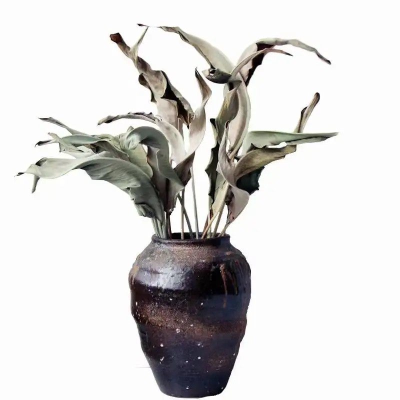 Bluejw 5pcs Dried Strelitzia Leaves - Natural Bird of Paradise Flower Dry Plants for Home Decor, DIY Floral Arrangements, Wedding, Mother's Day - Image 3