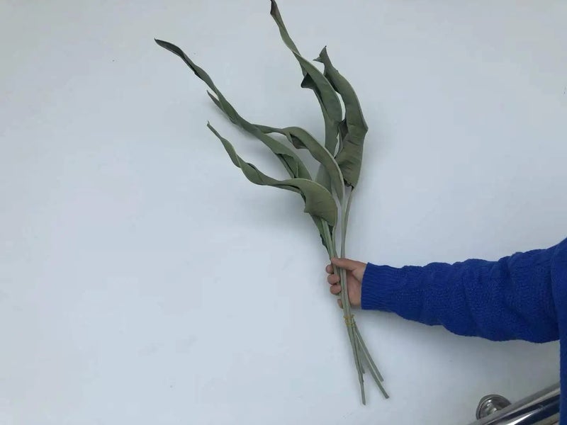 Bluejw 5pcs Dried Strelitzia Leaves - Natural Bird of Paradise Flower Dry Plants for Home Decor, DIY Floral Arrangements, Wedding, Mother's Day - Image 4