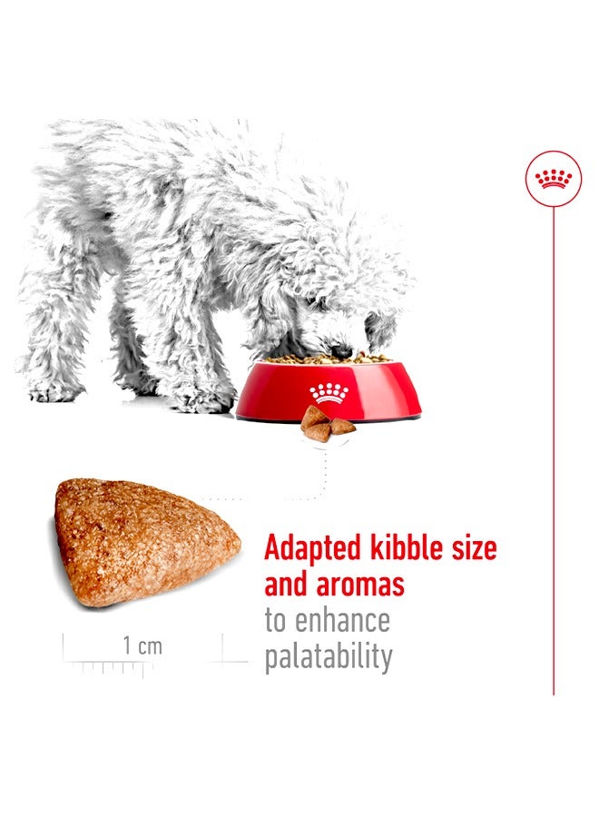 رويال كانين ميني داخلي للكبار - 1.5 كجم - Image 2