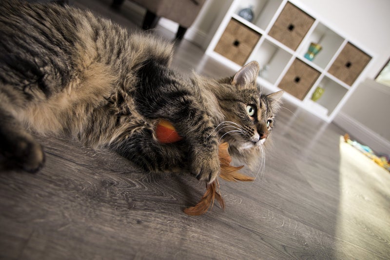 SmartyKat Flutter Balls Catnip Plush and Feather Cat Toys, Erratic Motion for Batting & Pouncing Fun for Cats & Kittens, Set of 2 - Image 2