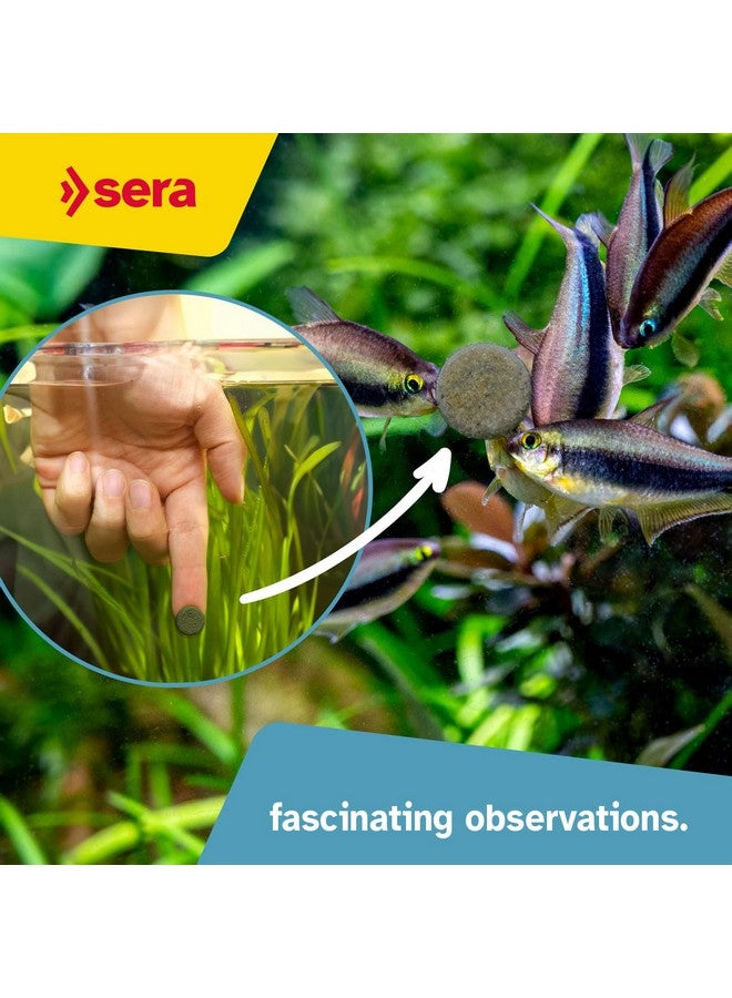 سيرا أقراص سيرا سبيرولينا الطبيعية، ٢٤ قرصًا، غذاء نباتي لأسماك المياه المالحة الطازجة | يُعزز الهضم والحيوية | خالٍ من الأصباغ والمواد الحافظة | مثالي لسكان أحواض السمك العاشبة - Image 5