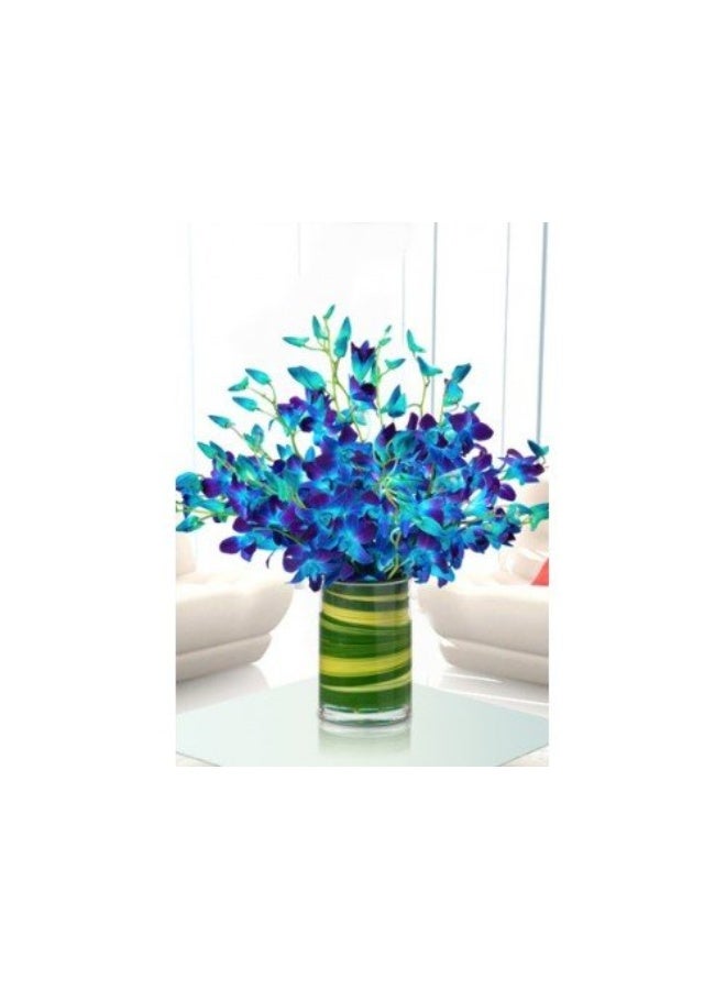 Romantic Blue