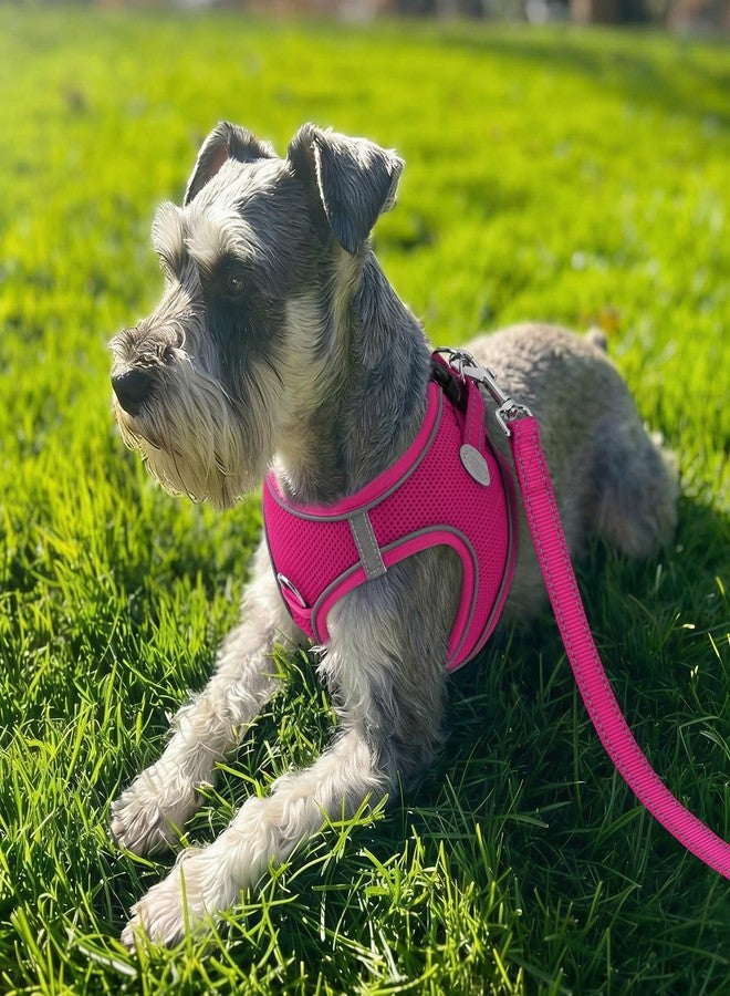 Joytale Small Dog Harness, Breathable Mesh Step-in Vest, Reflective Soft Padded Harnesses for Cats and Puppies Dogs, Hot Pink, XXXS - Image 2