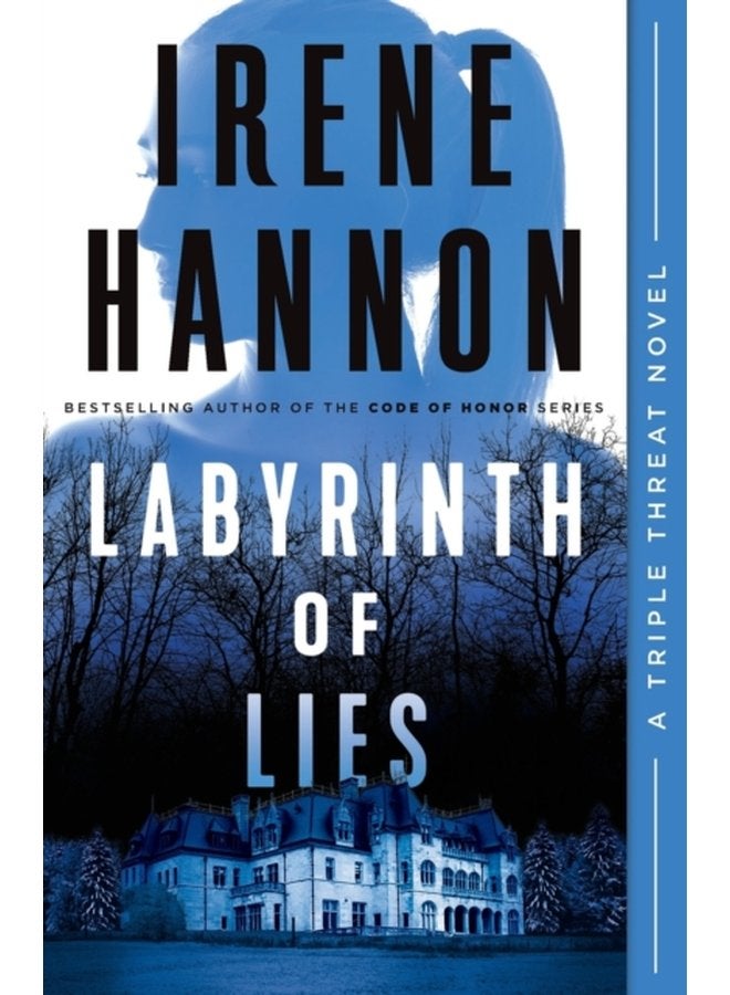 Labyrinth of Lies - Paperback