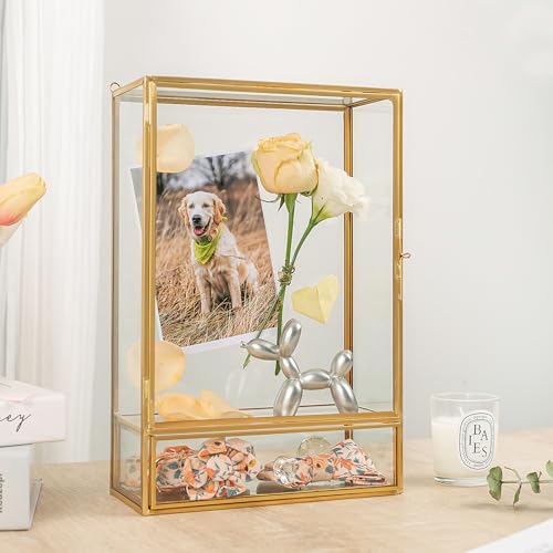 Jajamy Shadow Box Frame, 3.5" Deep Wedding Shadow Boxes Display Case with Drawer, Glass Gold Shadow Memory Box for Picture, Wedding Bouquet, Pet Memorial and Keepsakes - Image 5