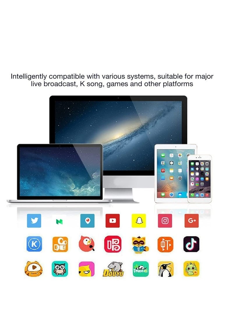 Live Sound Card Voice Changer,Handheld Sound Card Mini Voice Changer Device 8 Fixed Sound Effects Plug and Play,Gaming Recording,for Mobile Phone Computer