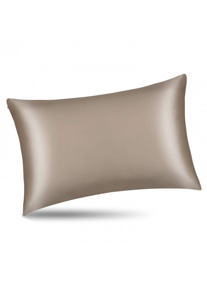 ALASKA BEAR Natural Silk Pillowcase, Hypoallergenic, 19 Momme, 600 Thread Count 100 Percent Mulberry Silk, Queen (1 Pack, Taupe Tan)