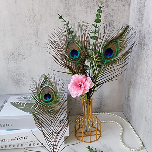 THARAHT 12pcs Peacock Feather Natural in Bulk 10-12 inch 25-30cm for Craft Vase Wedding Home Party Christmas Day Decoration Peacock Feathers - Image 5