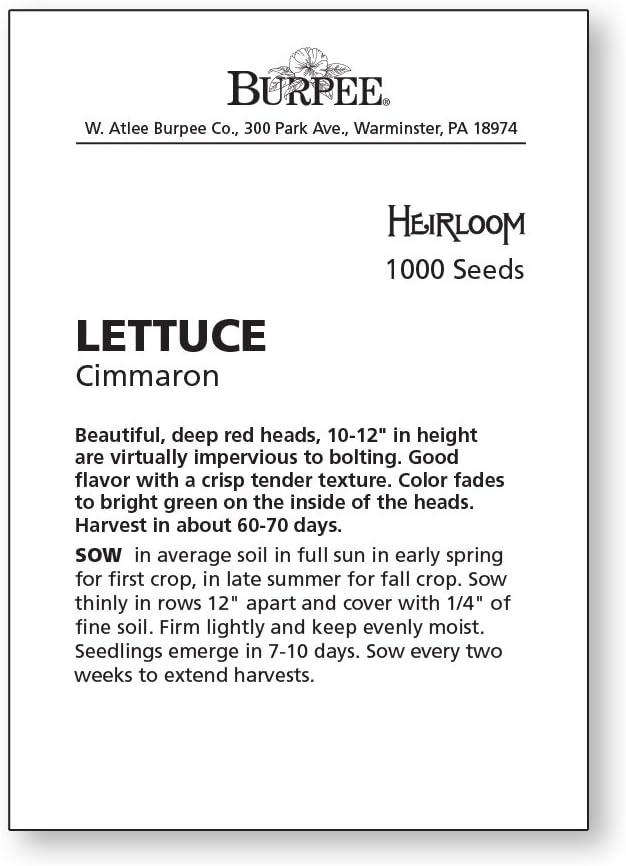 Burpee بذور خس بربى سيمارون الوراثية 1000 بذور - Image 2