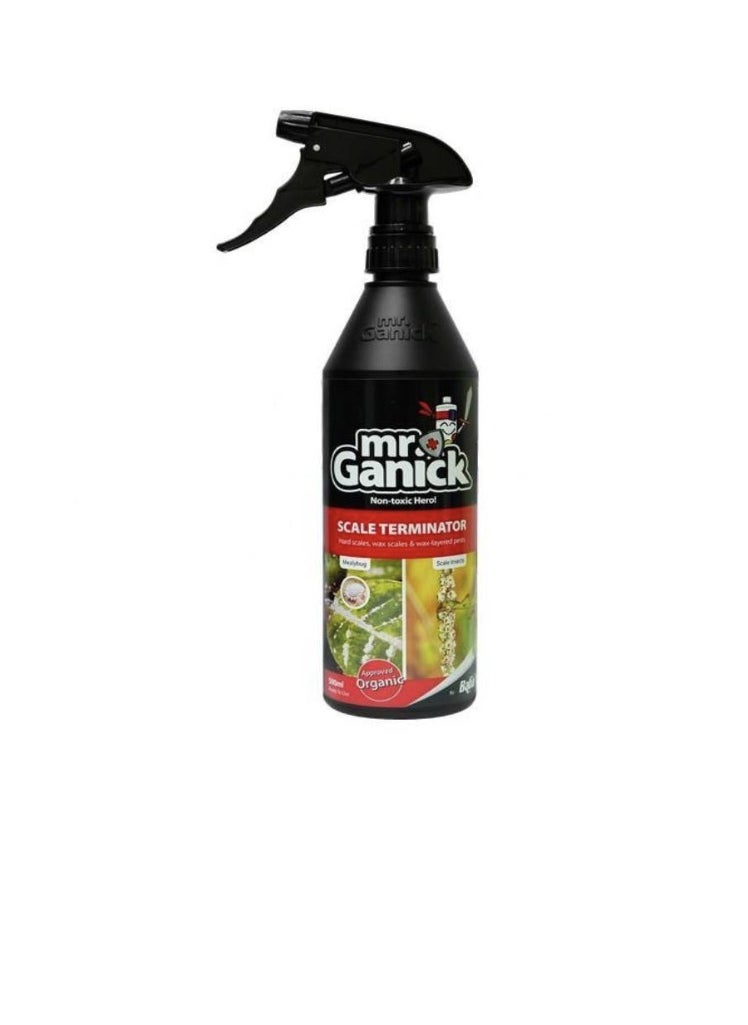 mr.Ganick Organic Mealybug and Scale Terminator Spray 500ml  - Image 1