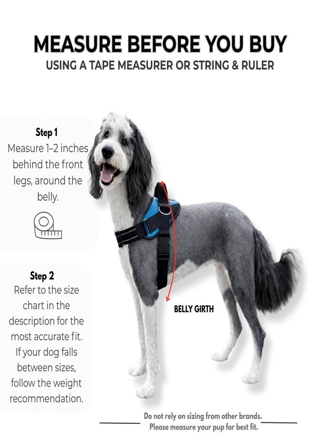 SHAWNCO, Essential Dog Harness, No-Pull, Breathable, Fully Adjustable and Padded for Everyday Use and Training (Military Camo, M) - Image 5