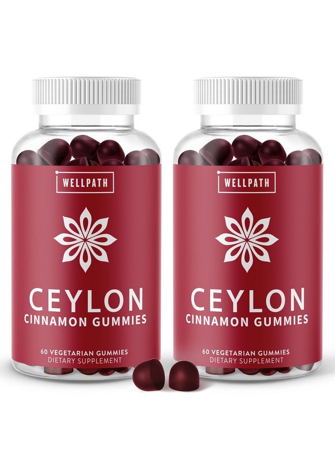 WellPath - [Ceylon Cinnamon Gummies 2Pack Healthy Blood Sugar Support Supplement ; Sugar Free ; Antioxidants ; Joint Support ; Nongmo Vegan Gluten Free ; 120 Ct - Image 1