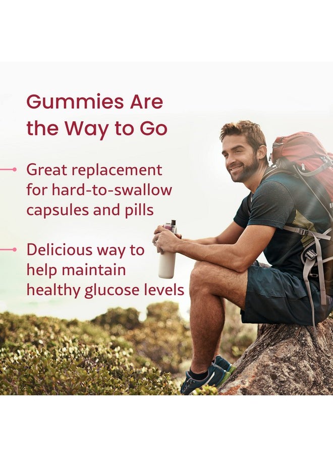 WellPath - [Ceylon Cinnamon Gummies 2Pack Healthy Blood Sugar Support Supplement ; Sugar Free ; Antioxidants ; Joint Support ; Nongmo Vegan Gluten Free ; 120 Ct - Image 1