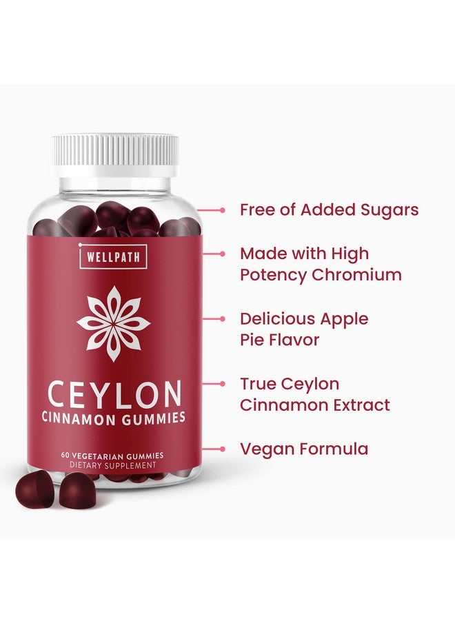 WellPath - [Ceylon Cinnamon Gummies 2Pack Healthy Blood Sugar Support Supplement ; Sugar Free ; Antioxidants ; Joint Support ; Nongmo Vegan Gluten Free ; 120 Ct - Image 1