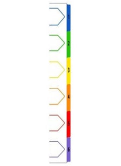Deluxe 6 TAB PVC COLOR DIVIDER WITH NUMBER 