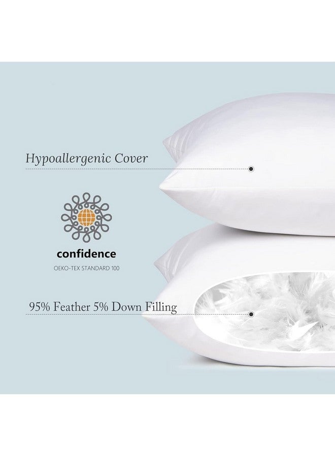 puredown puredown® Feather Down Filled 14x22 Pillow Inserts, Lumbar Pillow Inserts for Decorative Throw Pillow, Bed, Couch and Home Decor - Image 2