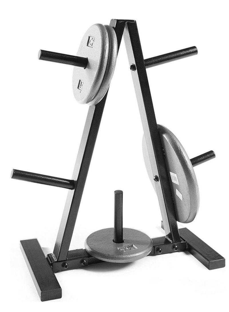 ALCOACH Weight Rack for Home Gym | Iron Dumbbell and Weight Plate Rac - Image 1