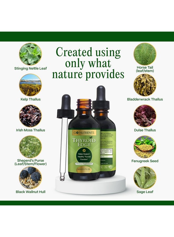 Go Nutrients Thyroid Edge - Thyroid Support for Women & Men - Natural Herbal Blend Supplement Rich in Iodine for Energy & Enhanced Wellness - High Absorbing Liquid Drops, 2oz Bottle - Image 4