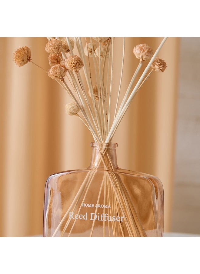 Seyna Daisy Reed Diffuser Bottle without Fragrance Solution 16 x 5 x 38 cm - pzsku/Z75F21D92B5626DE1A0D9Z/45/_/1731408785/fef3e18b-6597-41fd-93e5-a68fc80f71fd