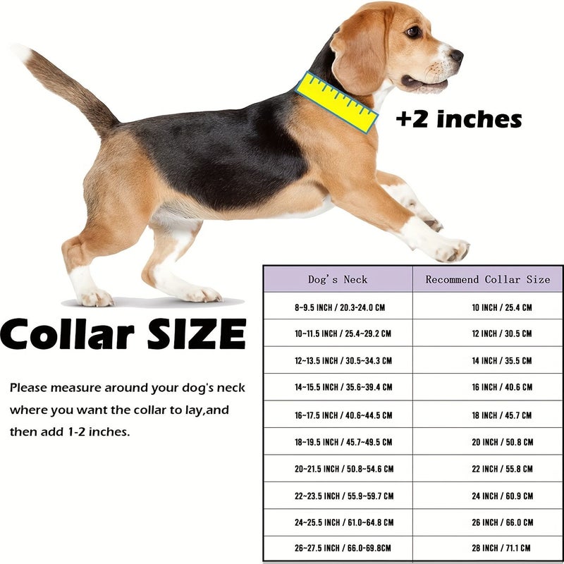 Stainless Steel Dog Collar 14 Inch Safety Buckle Lock Heavy Duty Chew Proof - Image 2