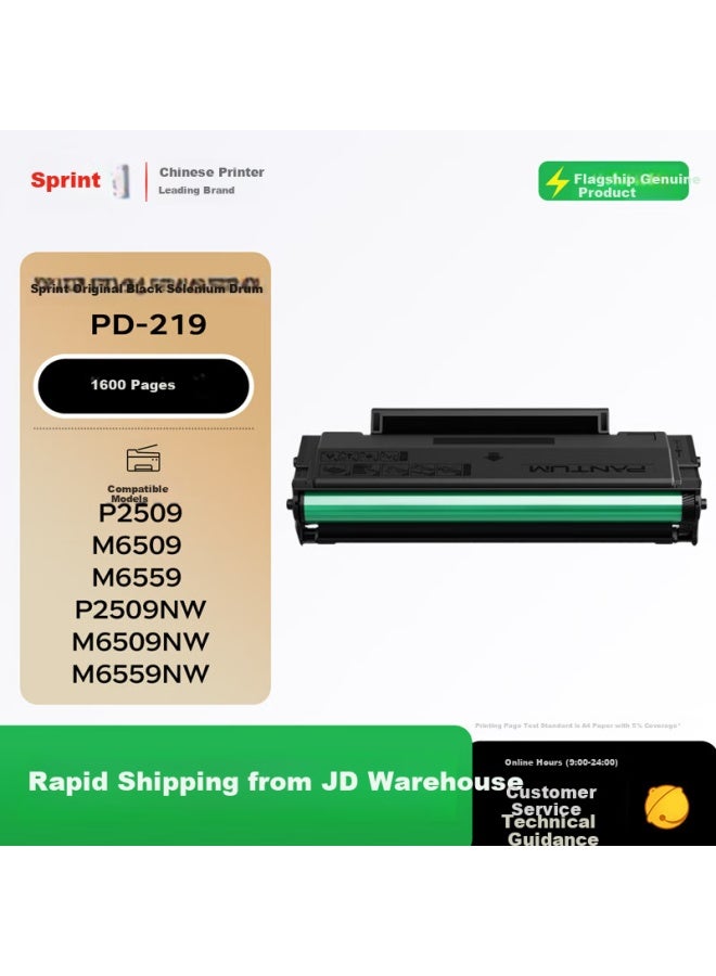 Pantum Pd-219 Original Toner Cartridge Compatible With Pantum P2509, P2509nw, M6509, M6509nw, M6559, M6559nw, M6609nw Printers, With Chip - Image 1