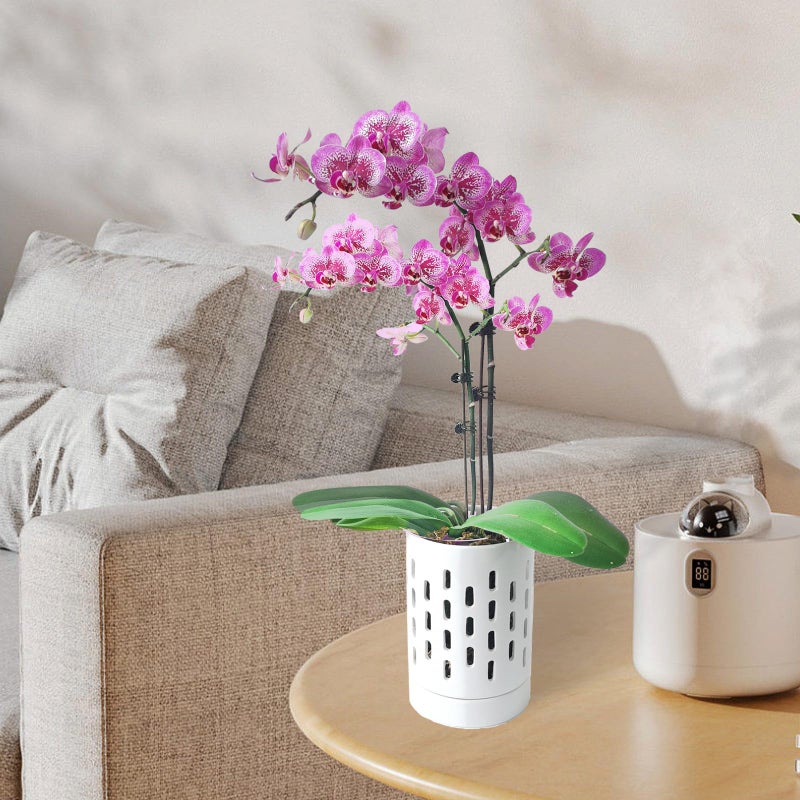 pavtner Orchid Pots with Holes,4 Inch Ceramic Orchid Pot for Repotting, Plant Pot for Repotting Orchids and Other Flowers - Indoor/Outdoor White - Image 4