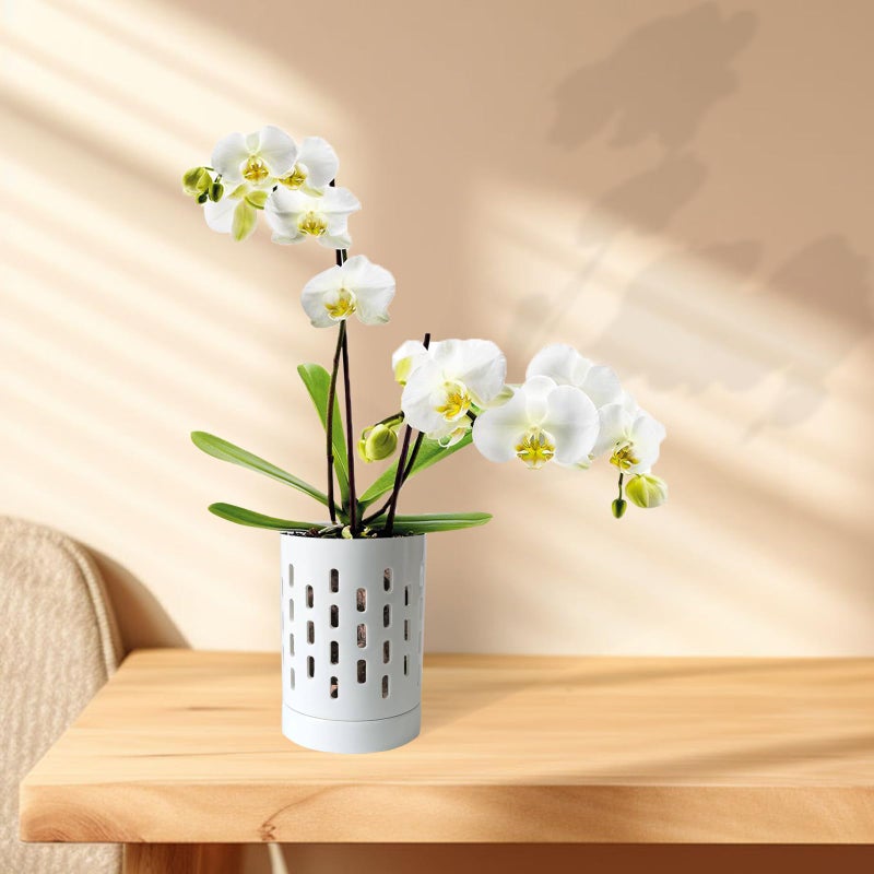 pavtner Orchid Pots with Holes,4 Inch Ceramic Orchid Pot for Repotting, Plant Pot for Repotting Orchids and Other Flowers - Indoor/Outdoor White - Image 3