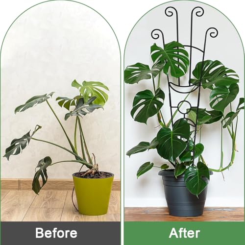 HASTHIP® 32 inch Flower Trellis Climbing Plants Trellis Plant Support Frame Sheathed Metal Pipe Plant Climber Structure Green Pot Trellis for Roses, Morning Glories, Clematis - Image 5