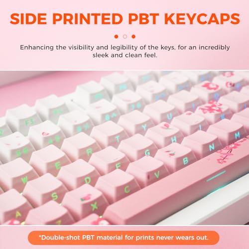 DAREU EK75PRO Sakura Pink Wireless Mechanical Keyboard,75% Hot Swap Creamy Gaming Keyboard with Knob,RGB Backlit,Gasket Custom Structure,Side Printed PBT Keycaps,2.4Ghz/BT5.1/USB-C, for Win/MAC - Image 2